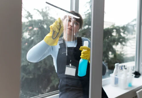 Nettoyage de vitres intérieures et extérieures à Luché-Pringé